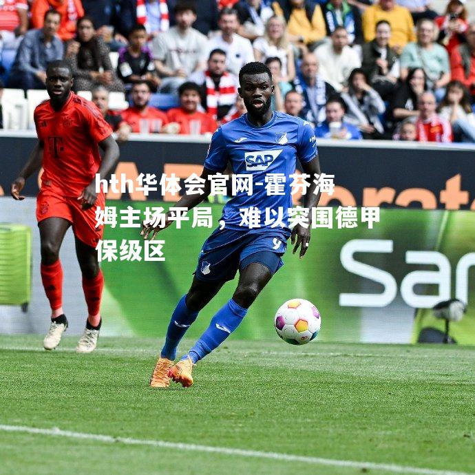 hth华体会官网-霍芬海姆主场平局，难以突围德甲保级区